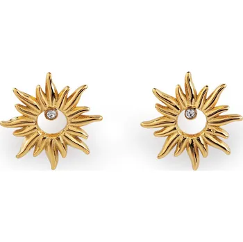 Náušnice Náušnice z nerezové oceli s broušenými kamínky, barva 2 zlatá