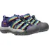 Chlapecké sandály Keen Newport H2 Children Multi/Tillandsia Purple, 29
