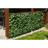 umělý živý plot Garden King Hedera Flexi 1 x 2 m