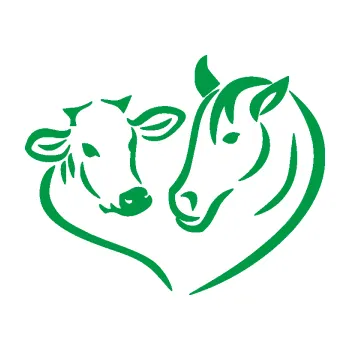 Samolepící dekorace Kůň s kravičkou v srdíčku pravá láska ke zvířatům (12 - zelená) SAMOLEPKA NA AUTO, NÁLEPKA, FÓLIE, POLEP, TUNING, VLASTNÍ TEXT, TISK, AUTOSAMOLEPKY.cz, POLEPY, OBRÁZEK, LOGO, 3D STICKERS