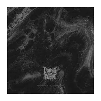 Zahraniční hudba LP Praise The Plague: Suffocating In The Current Of Time CLR | LTD 2024 Coloured Black & White Marbled Vinyl Limited Edition