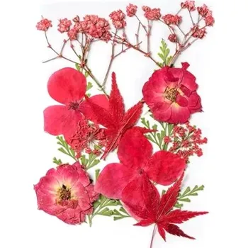 PourArt Sušené květiny SADA HAR-338 arch 120x80mm