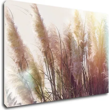 Obraz Impresi Obraz Suchá tráva - 60 x 40 cm