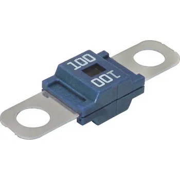 Autopojistky Midi plochá pojistka 100A - 429610