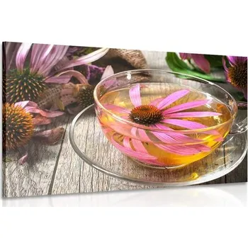 Obraz Dovido Obraz šálek bylinného čaje