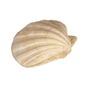 Zahradní dekorace ZahradniDekorace zahradní dekorace - Mušle - odlitek, rozměr: 16x18 cm, 1,5 kg