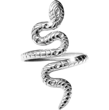 Prsten JSB bijoux s.r.o. Ocelový prsten stočený had bez krystalů