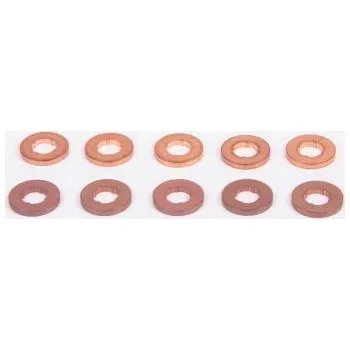 Těsnění motoru Tesnici krouzek, sachta trysky BOSCH F 00V C17 504