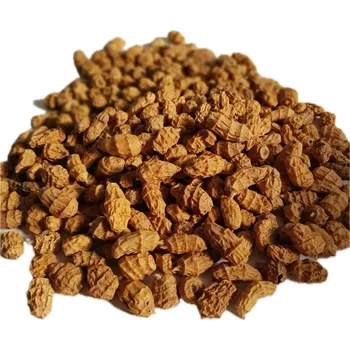 Návnadová surovina Tygří ořech XXL Jumbo Velikost: 1KG