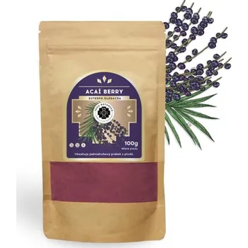 Sušené ovoce Acai Berry 100 g