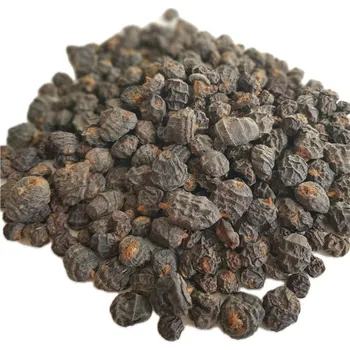 Návnadová surovina Tygří ořech Black XXL Jumbo Velikost: 1KG