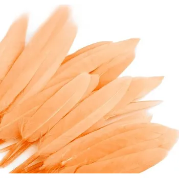 Kachní peří, délka 9-14 cm, lososové