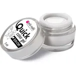 Enii Nails Quick Color Gel 101…