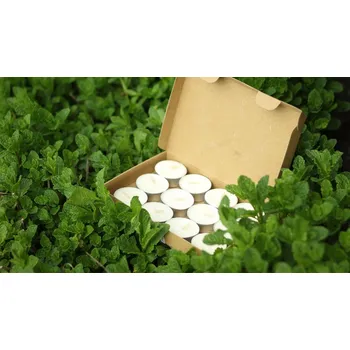 Svíčka Čajová svíčka Máta Velikost: 12 ks dárkové balení