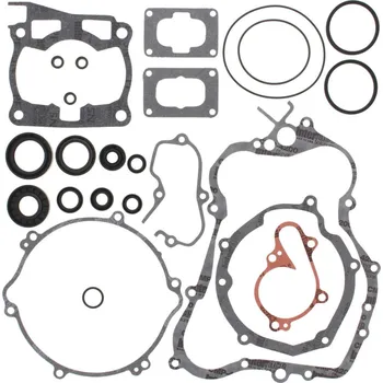Těsnění motoru Sada těsnění motoru kompletní vč. gufer motoru WINDEROSA CGKOS 811639