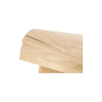 RC vybavení Překližka FLEXI 1,2x600x300mm