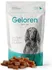 Kloubní výživa pro psa a kočku Contipro Geloren Dog S/M 60 tbl.