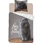 DETEXPOL Povlečení Kočka Love Bavlna, 140/200, 70/80 cm
