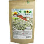 Toraf Multiflora rukola semena na klíčky