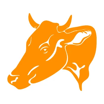 Samolepící dekorace SAMOLEPKA Kráva 003 levá (06 - oranžová) NA AUTO, NÁLEPKA, FÓLIE, POLEP, TUNING, VLASTNÍ TEXT, TISK, AUTOSAMOLEPKY.cz, POLEPY, OBRÁZEK, LOGO, SAMOLEPKY