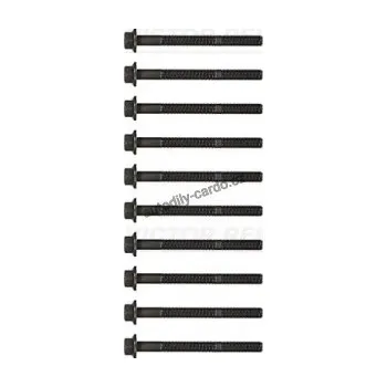 Těsnění motoru Sada šroubů pro hlavy válcu VICTOR REINZ (VR 14-32093-01)