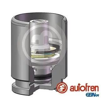 Brzdový třmen Píst, brzdový třmen SEINSA AUTOFREN D025667K