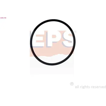 Auto-moto Těsnění, termostat EPS 1.890.740