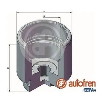 Brzdový třmen Píst, brzdový třmen SEINSA AUTOFREN D025644