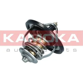 Chladič motoru Termostat, chladivo KAMOKA 7710106