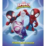 Marvel Spidey a jeho úžasní přátelé:…