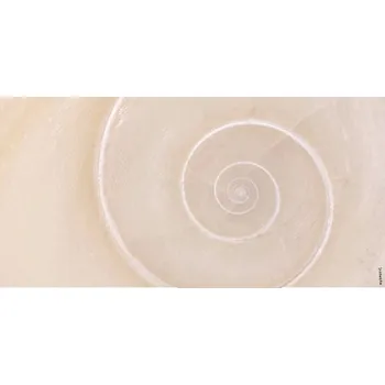 Obklad Koupelnová zádní stěna mySPOTTI aqua Schnecke 90x45 cm