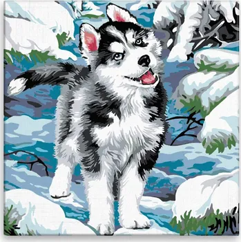 Malování podle čísel - Husky - 40x40 cm, bez dřevěného rámu - CZ výroba