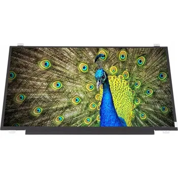 Náhradní displej pro notebook LCD MAT HD+ LENOVO IDEAPAD 320-17AST (LCD LED TN matný 17,3 " 1600 x 900 012)