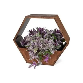 Květináč Truhlík na rostliny Hexagon 36 cm