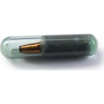 Autoklíč Transpondér (immo čip) T5 glass