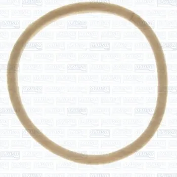 Kliková hřídel Tesnici krouzek hridele, klikovy hridel, 00200400, AJUSA, 00200400