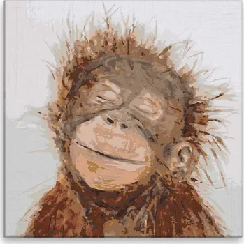 Malování podle čísel - Zasněný šimpanz - 40x40 cm, bez dřevěného rámu - CZ výroba