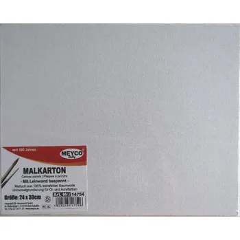 Malířské plátno Plátno na kartonu Meyco - 24x30 cm
