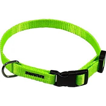 Obojek pro psa BAFPET Popruhové obojky NEON Barva: Zelená, Rozměr: 10mm x 18-26cm 18105N