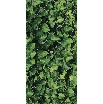 Stavební materiál PARADYZ DEKOR DREAM SKLO UNIVERSAL 30x60 PAR-162416