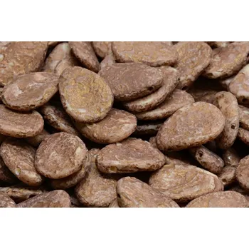 Korálek Lístek sasanky 11x16mm č. 79 (11x16mm)