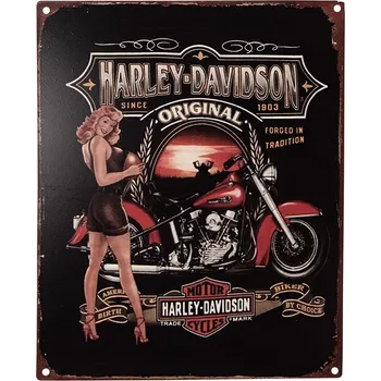 Plechová cedule Černá nástěnná kovová cedule Harley Davidson - 20*1*25 cm