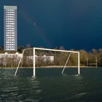 Zahraniční hudba CD Gallus: We Don't Like The People We've Become 2023