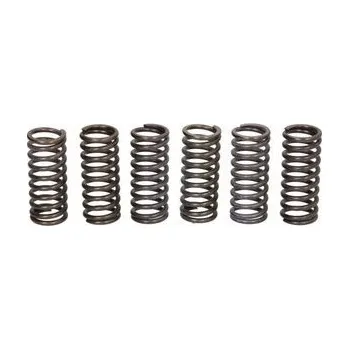 Spojkové pružiny TRW Ducati 800 Hypermotard 796 10-12