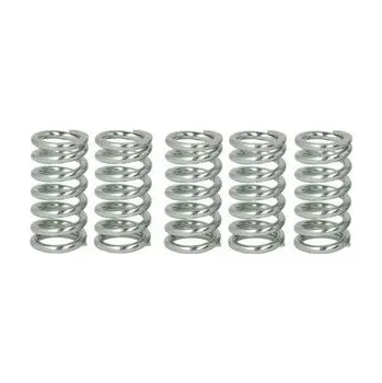 Spojkové pružiny TRW Honda CA 125 Rebel 95-97