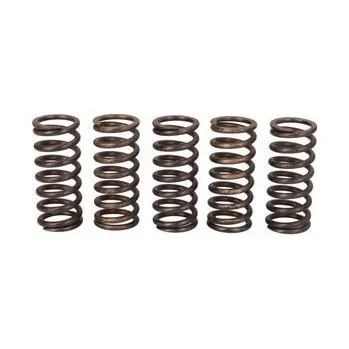 Spojkové pružiny TRW Triumph 800 XC,XCA,XCX,XR 17-
