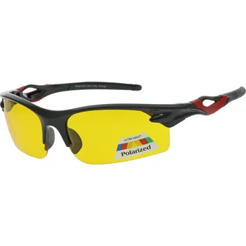 Polarizační sluneční brýle PO2174-10