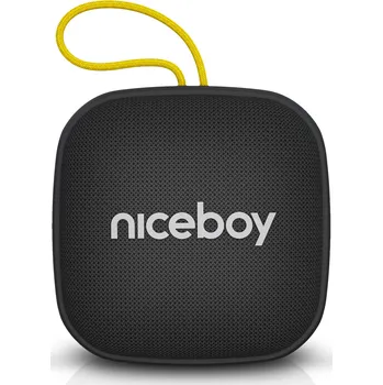 Niceboy Raze Mini 4