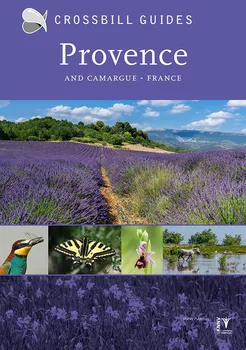 Anglický jazyk Provence And Camargue: France - Dirk Hilbers a kol. [EN] (2020, brožovaná)