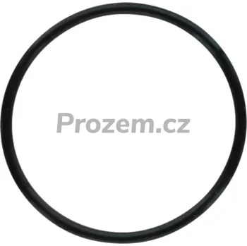 O-kroužek Ø 2,62x44,12 mm pro Comet BP 105 K, BP 125 K, 1210012200